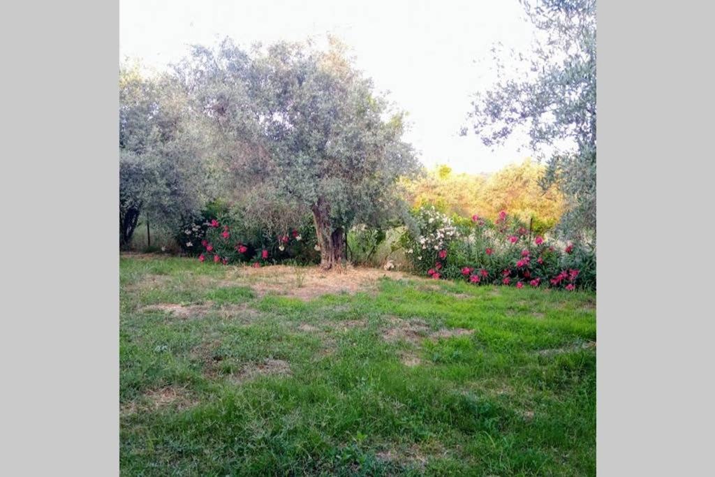 Irinis Cottage Kala Nera Buitenkant foto
